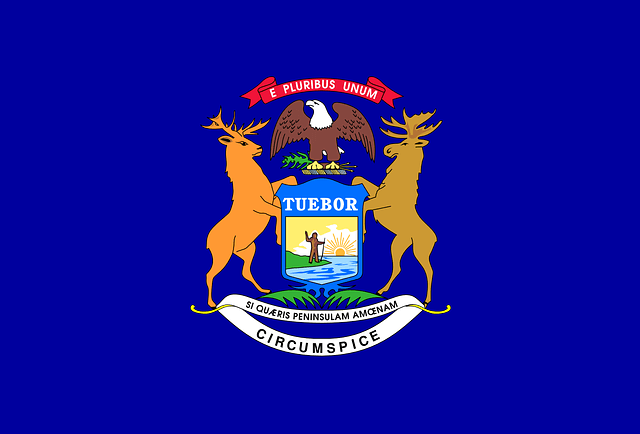 Bandera de Michigan